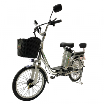 Электровелосипед Колхозник GreenCamel Транк 20 V8 (R20 250W 60V10Ah) алюм, редуктор