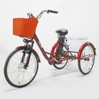 Электровелосипед GreenCamel Трайк-24 (R24 500W 48V 15Ah) Красный